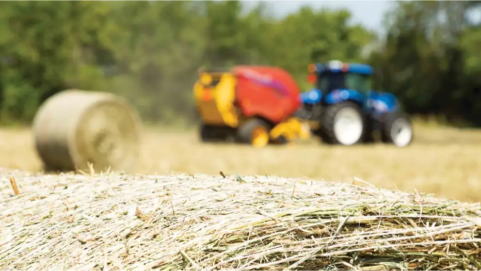 Special Offers on Conventional Hay & Forage