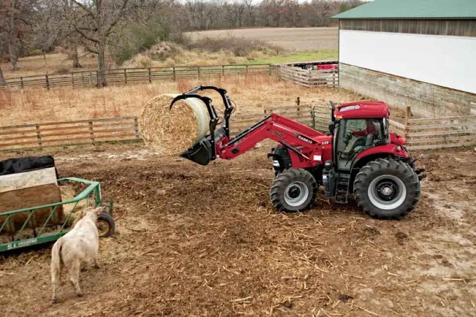 Case IH tractor and L760 loader in paddock with cow