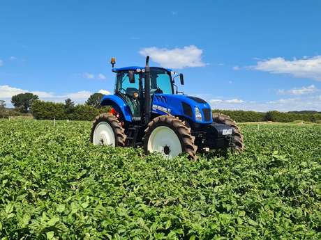Blue New Holland TS6 tractor sitting in field with grass