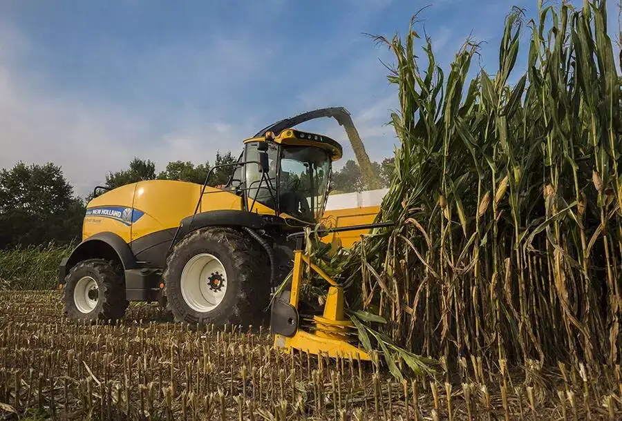 fr-forage-cruiser-gallery-03