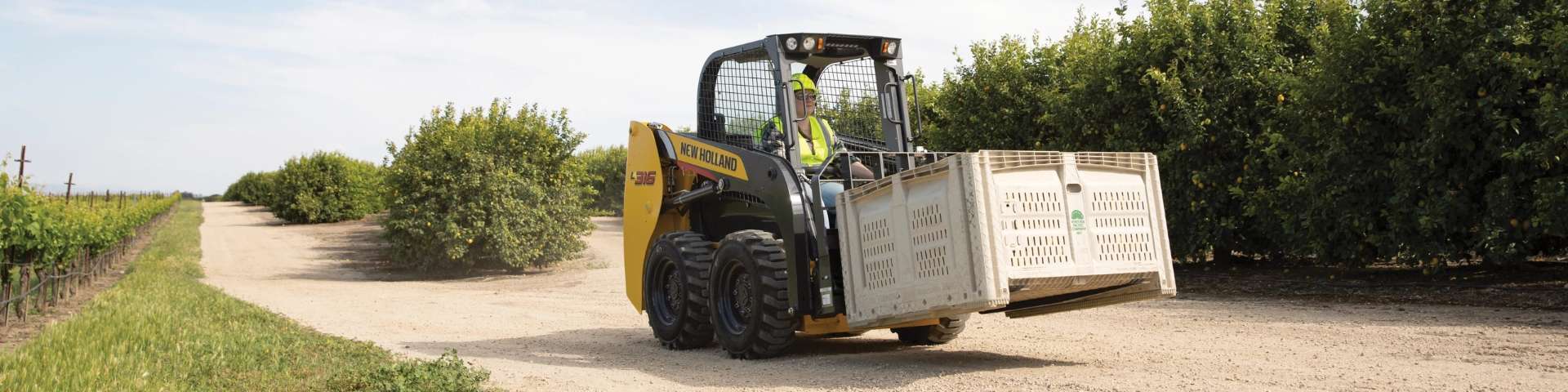 Skid steer loader lifting crate in an orchard.