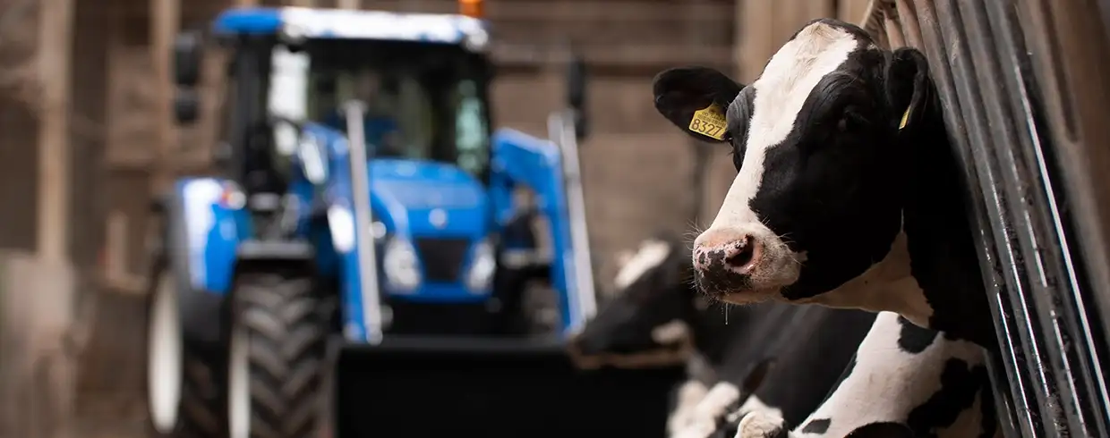 CONTROL YOUR FEED OUTPUT