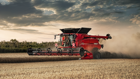 Red Case IH combine harvester working in a wheat field at sunset, with a cloud of dust trailing behind.