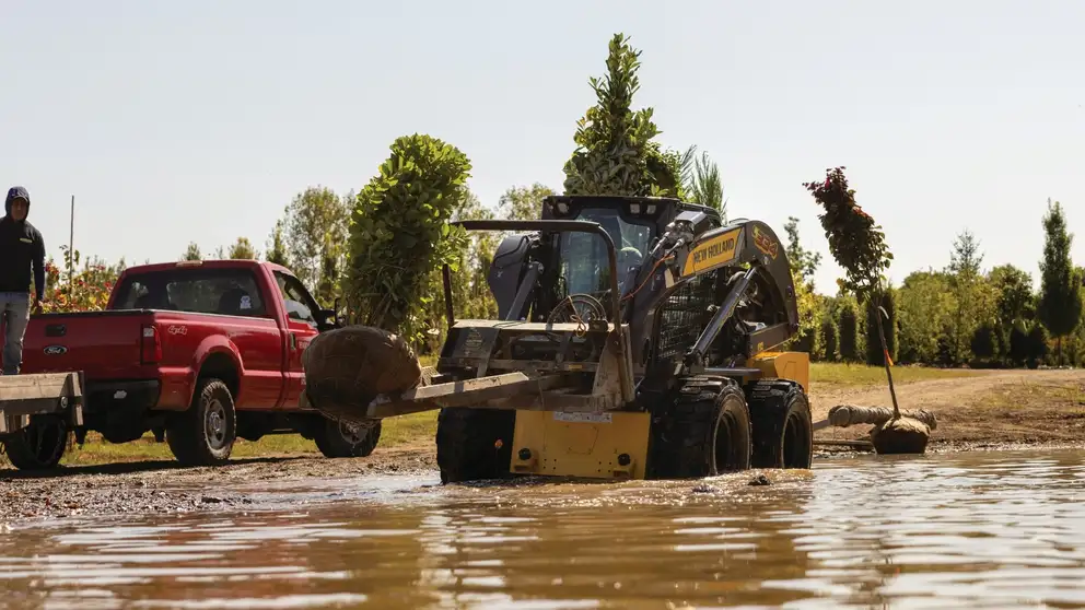 Skid Steer loader lifting a tree sampling in water.