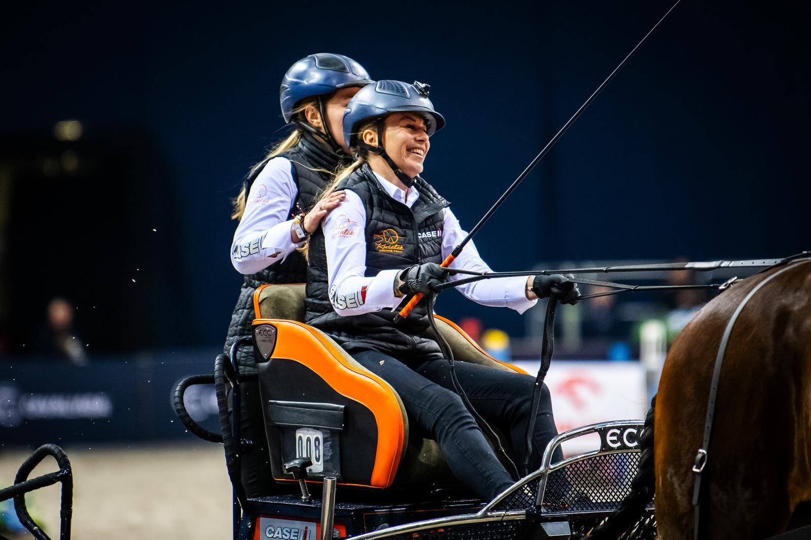 sportowe emecje_horse_04.jpg