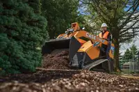 TL100EV