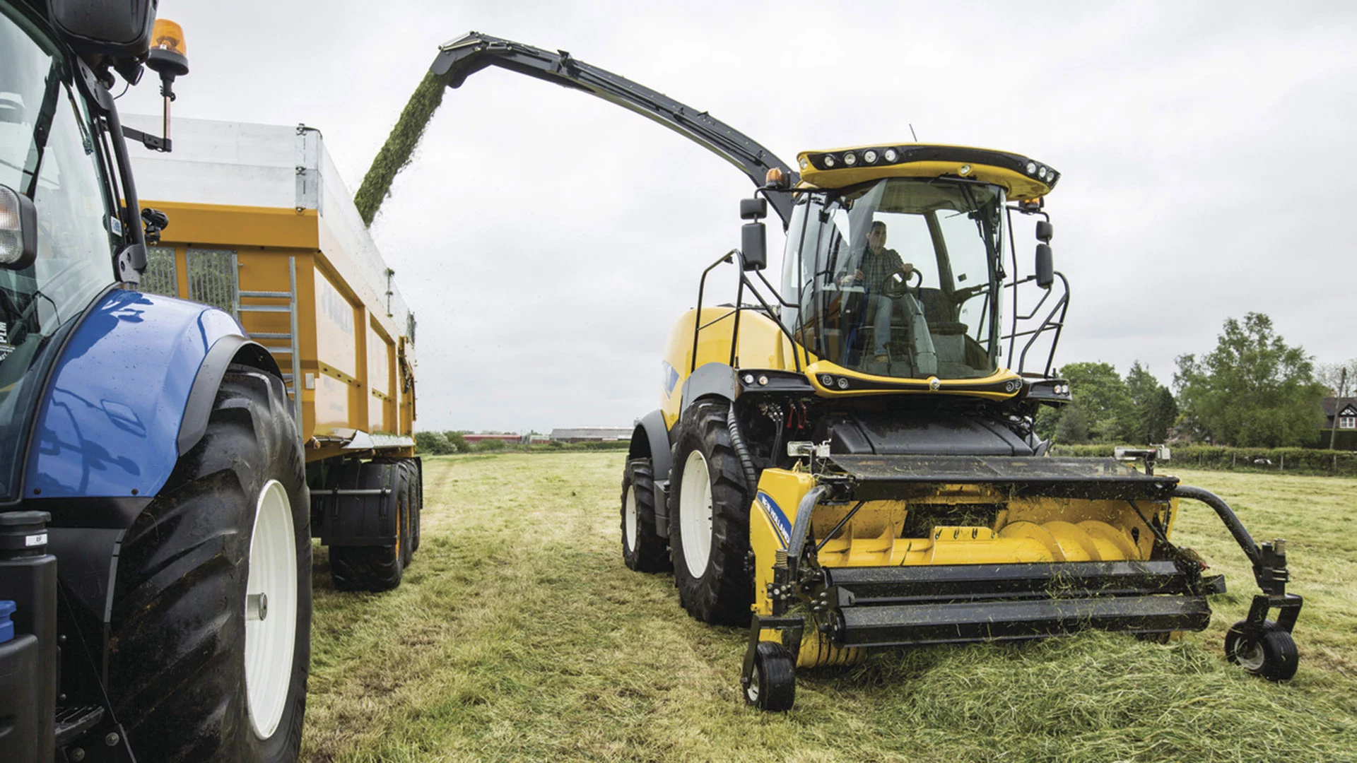 FORAGE HARVESTER HEADERS