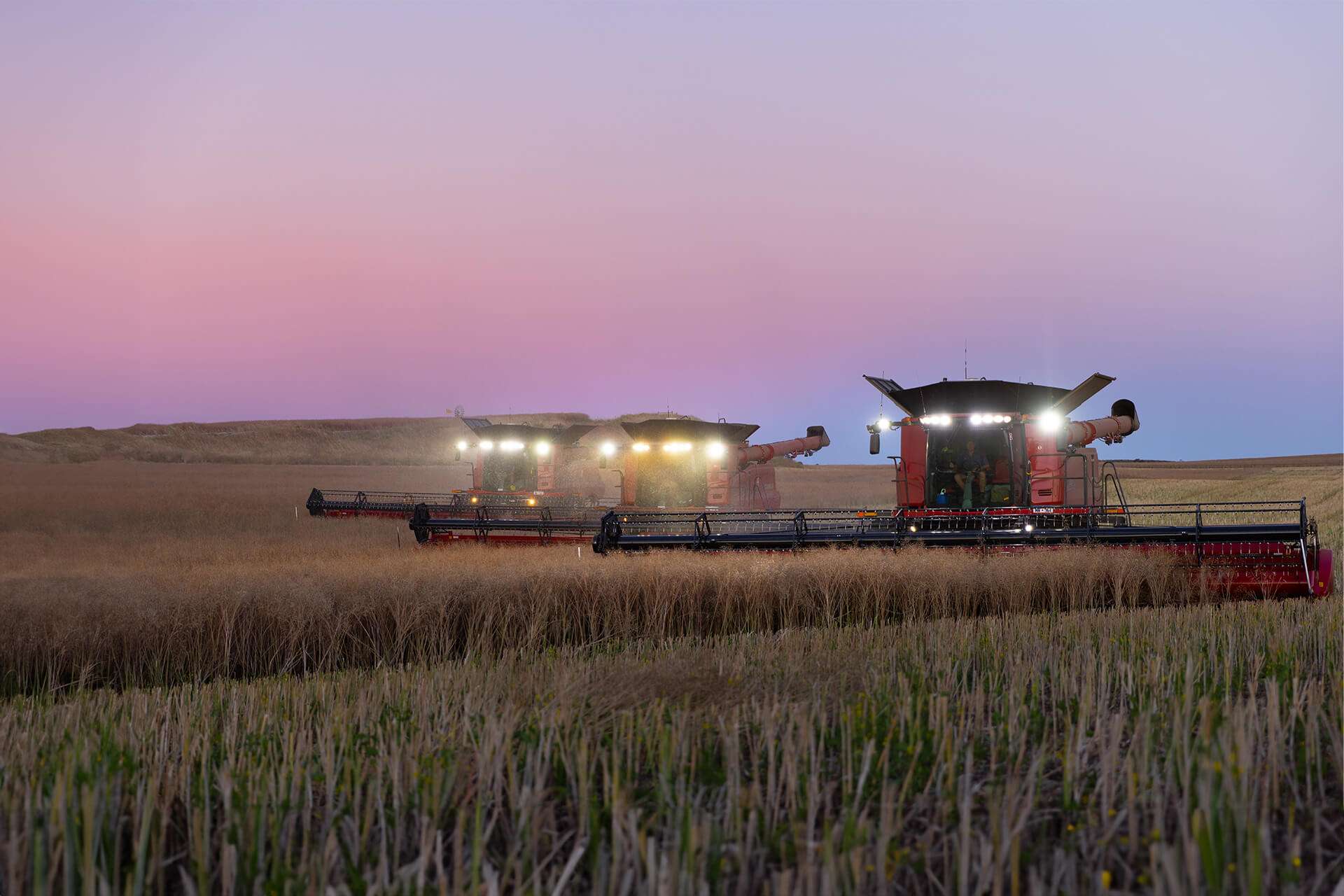 Case IH Axial Flow Combines Field 