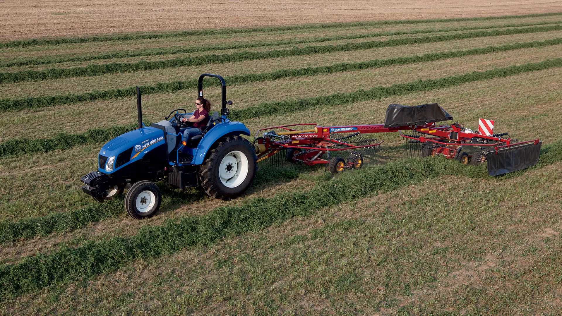 ProRotor™ Rotary Rakes - Hay Rake