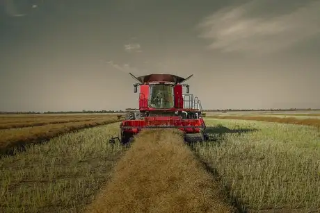 Harvesting Equipment | Case IH | Case IH