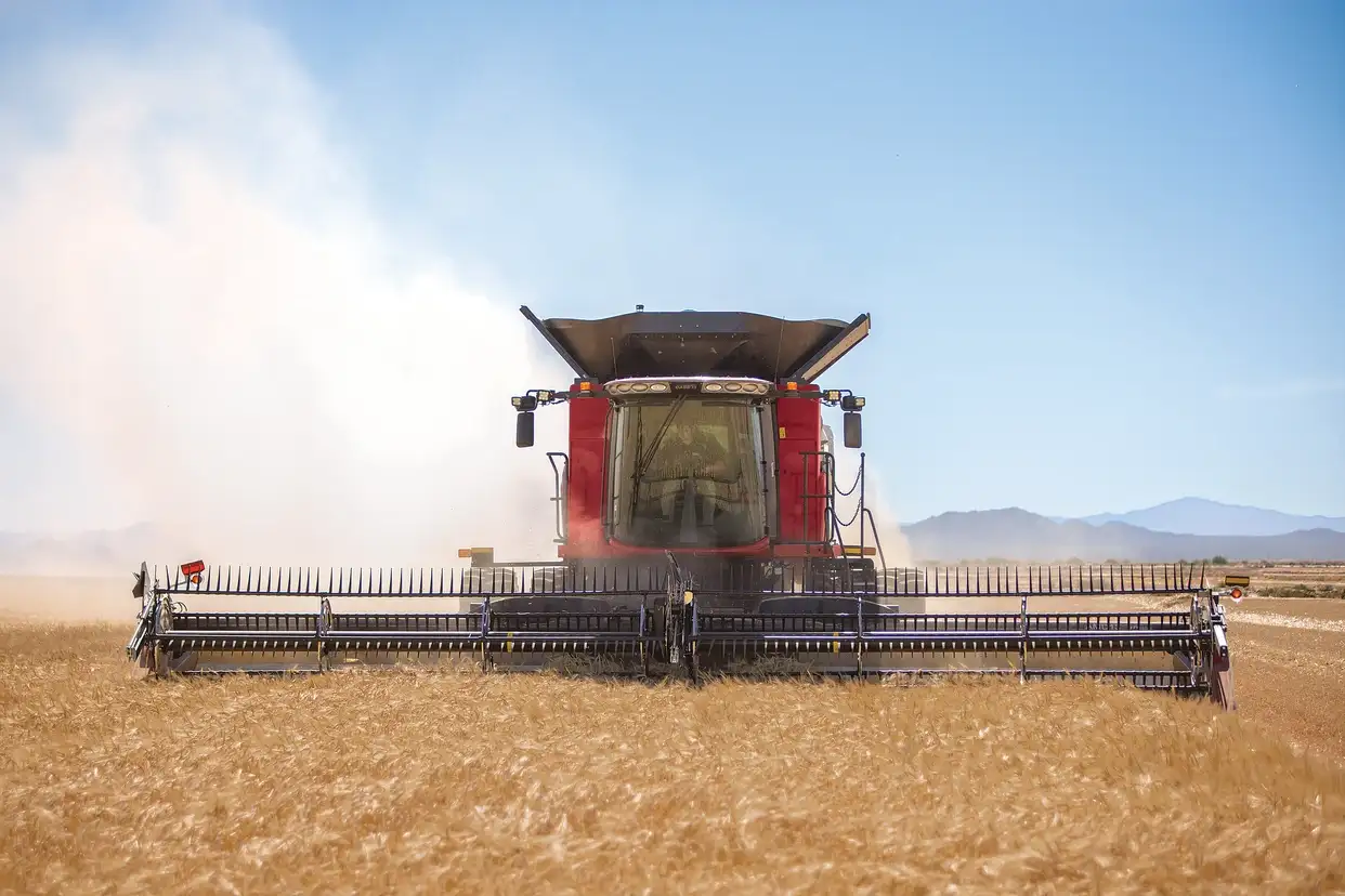 Case IH red combine harvester gathering golden wheat in a vast field, raising dust beneath a clear blue sky with distant mountains.