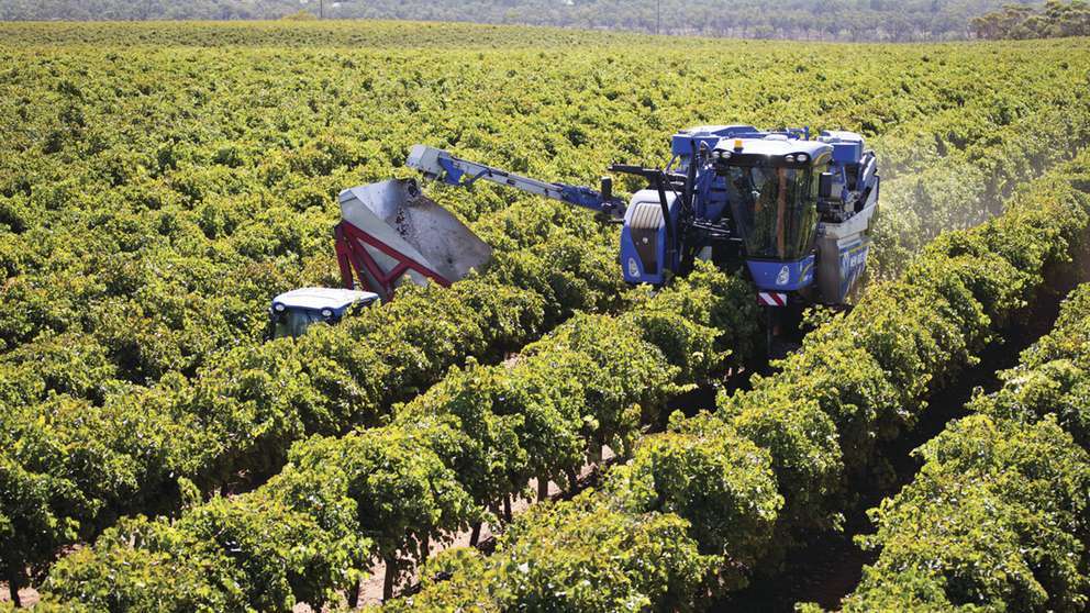new-holland-clean-energy-leader-vinicultura.jpg