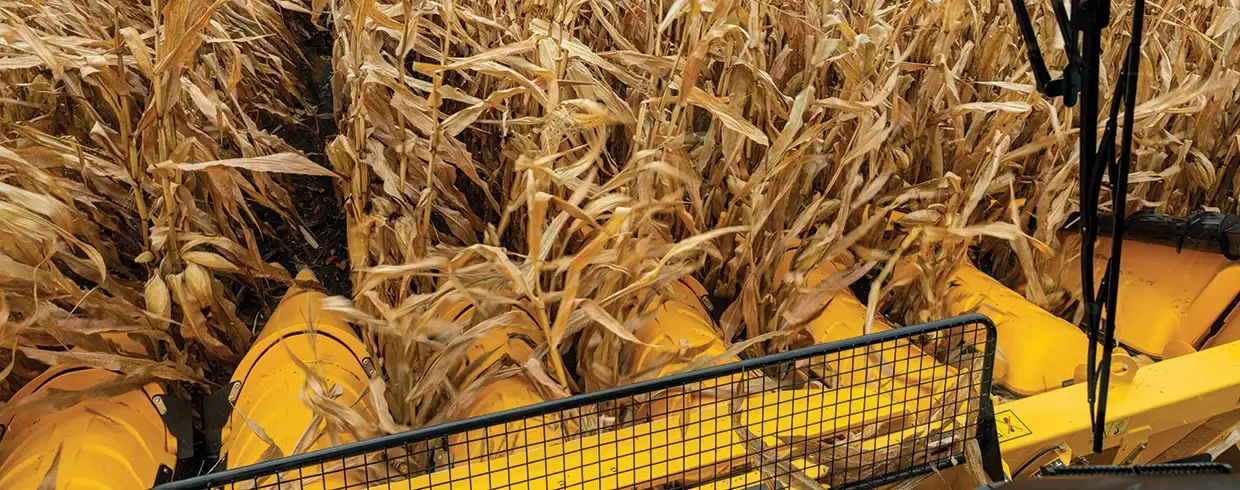 COMBINE CROP GUIDANCE