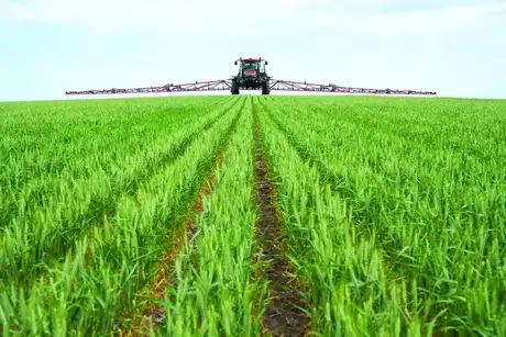 A Case IH farm tractor with a wide boom sprayer crosses a lush green field, leaving parallel tracks beneath a bright sky; the scene feels calm and orderly.