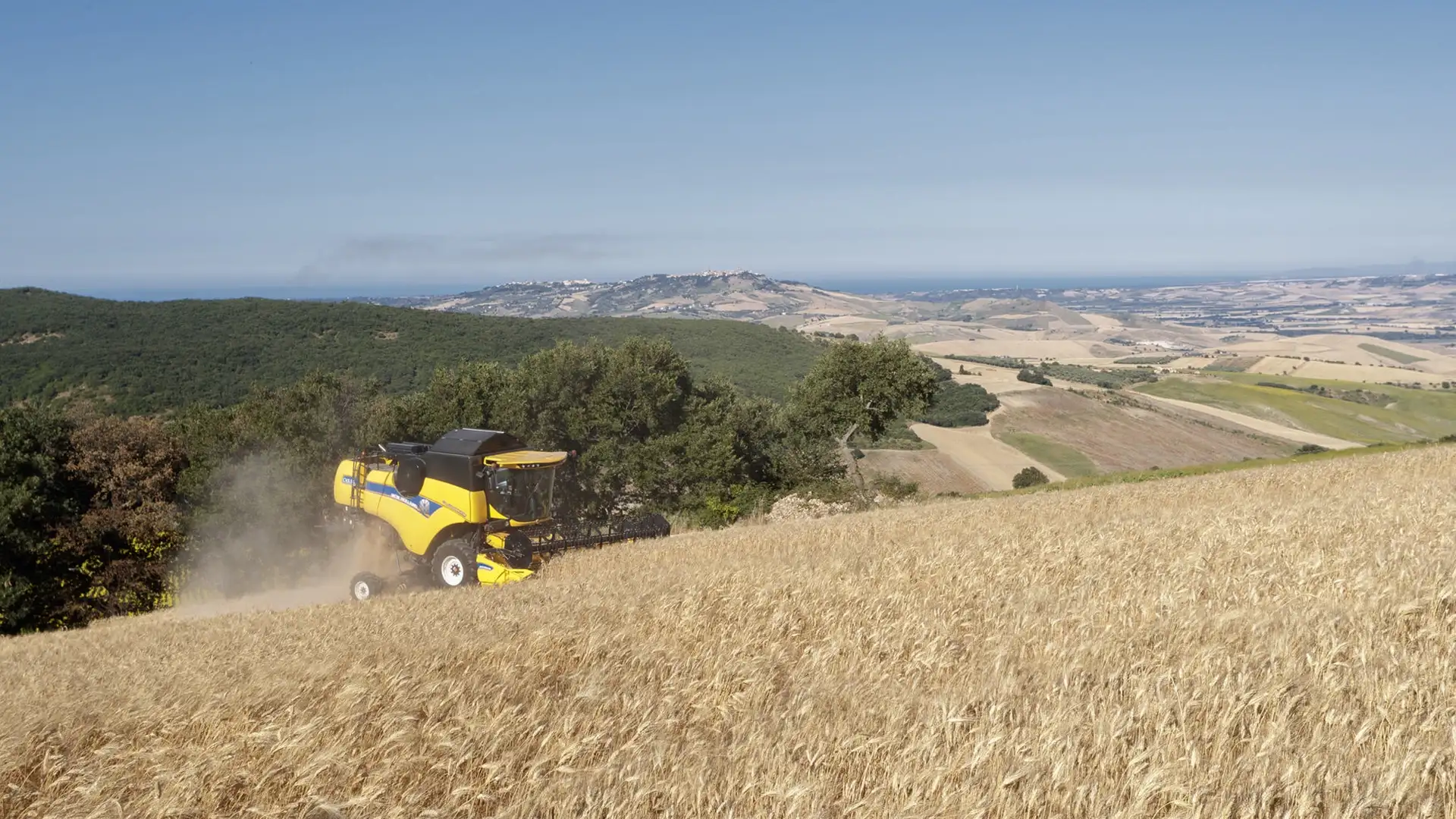 CX5 & CX6 LATERALE & HILLSIDE