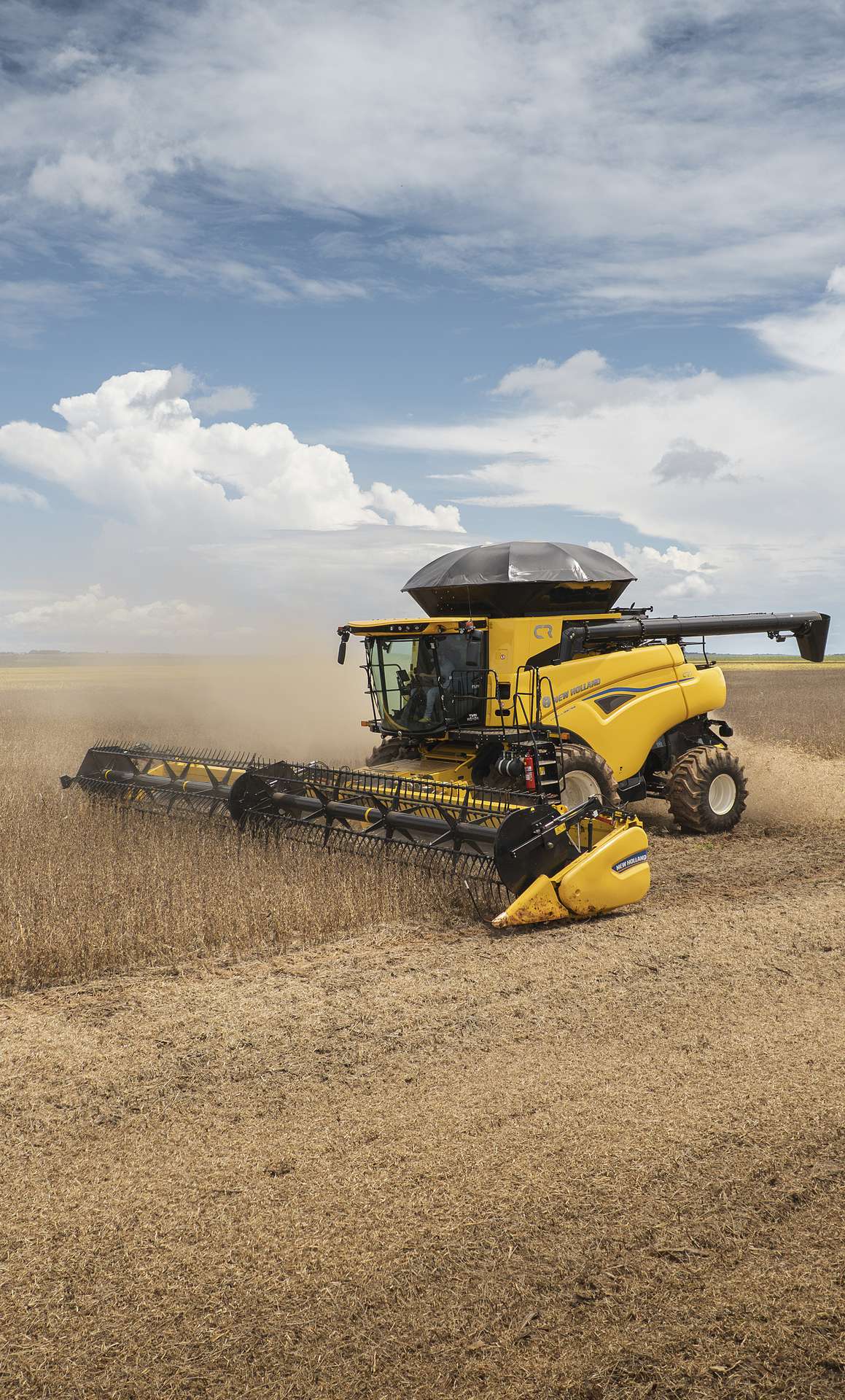 galeria retail cr7  5.jpg