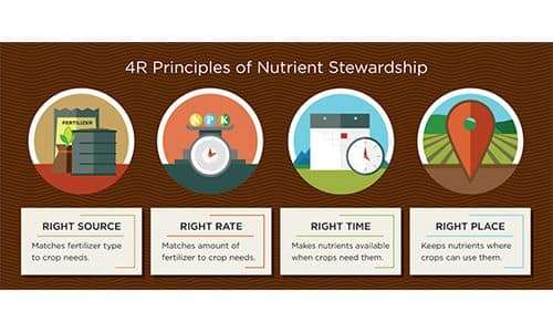 Nutrient_Stewardship_infographic