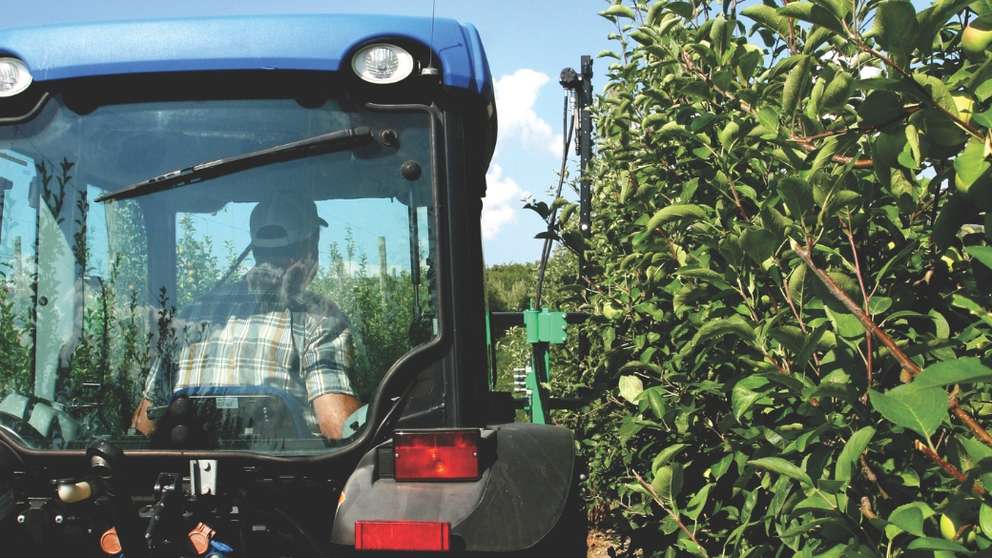 A farmer rides through the orchard in a New Holland tractor