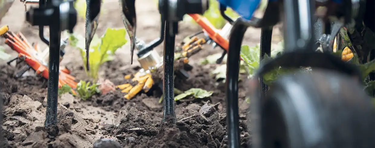 interrow-cultivator-details-01b