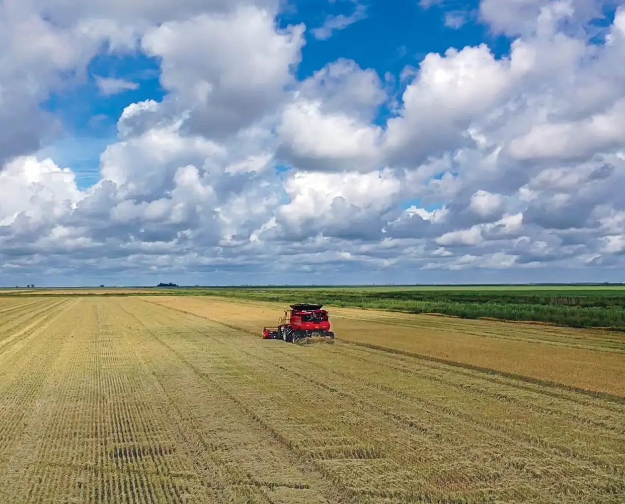 Axial-Flow 8250_0240_06-20