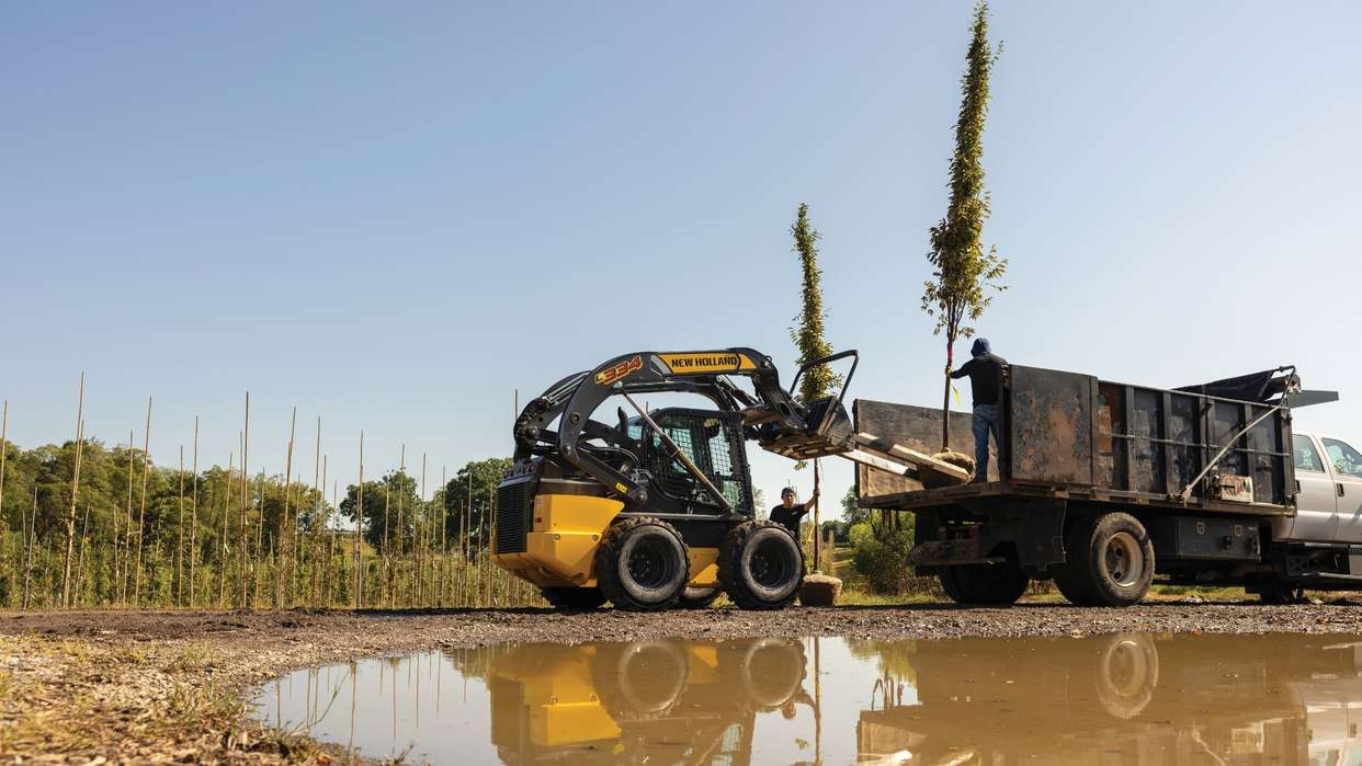 Skid steer loader lifting tree into truck.