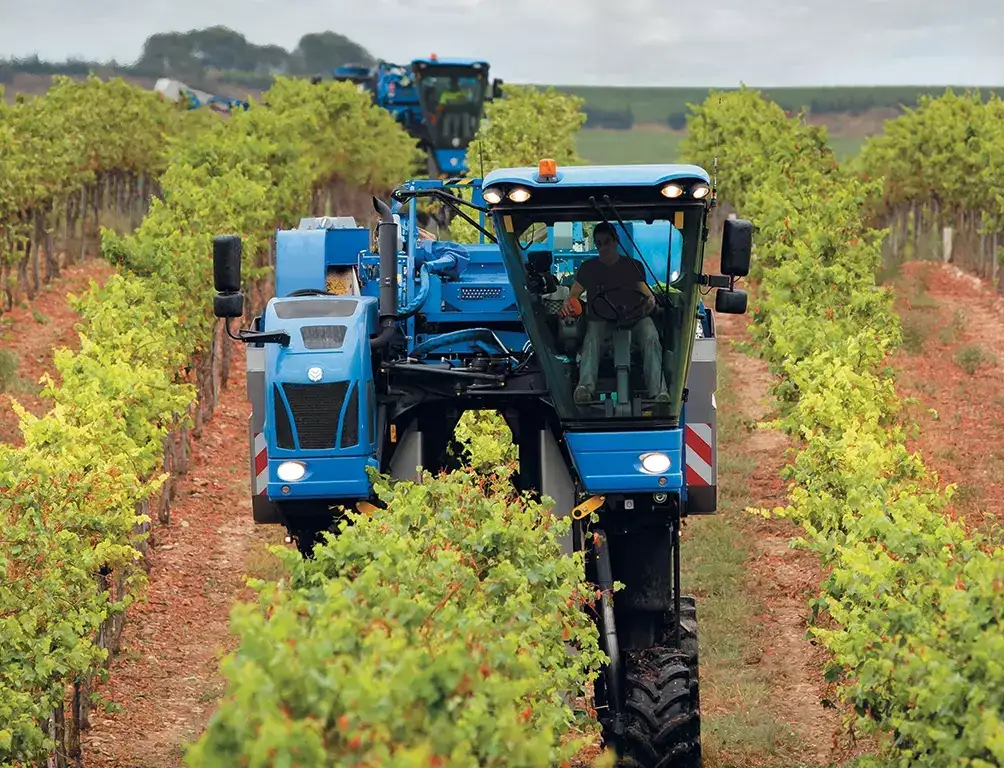Colheitadeira de Azeitona: Braud 9090X Dual | New Holland PT
