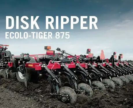 Portada Folleto Ecolo-tiger