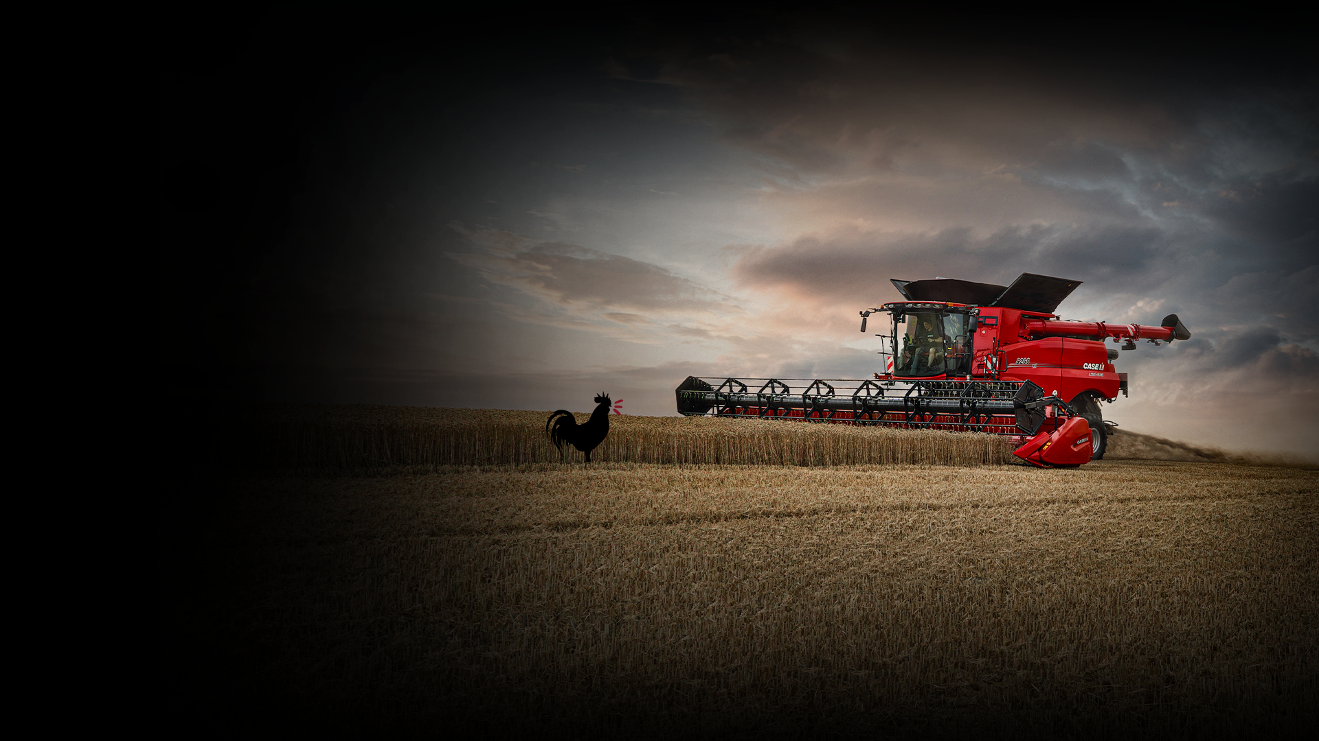 caseih_earlybird_bannerhomepage_desktop.png