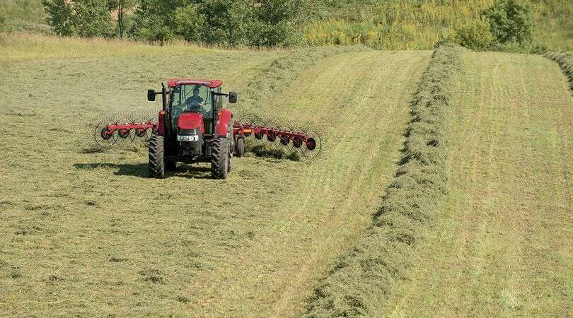 Tractor with Case IH Wheel Rake in alfalfa field