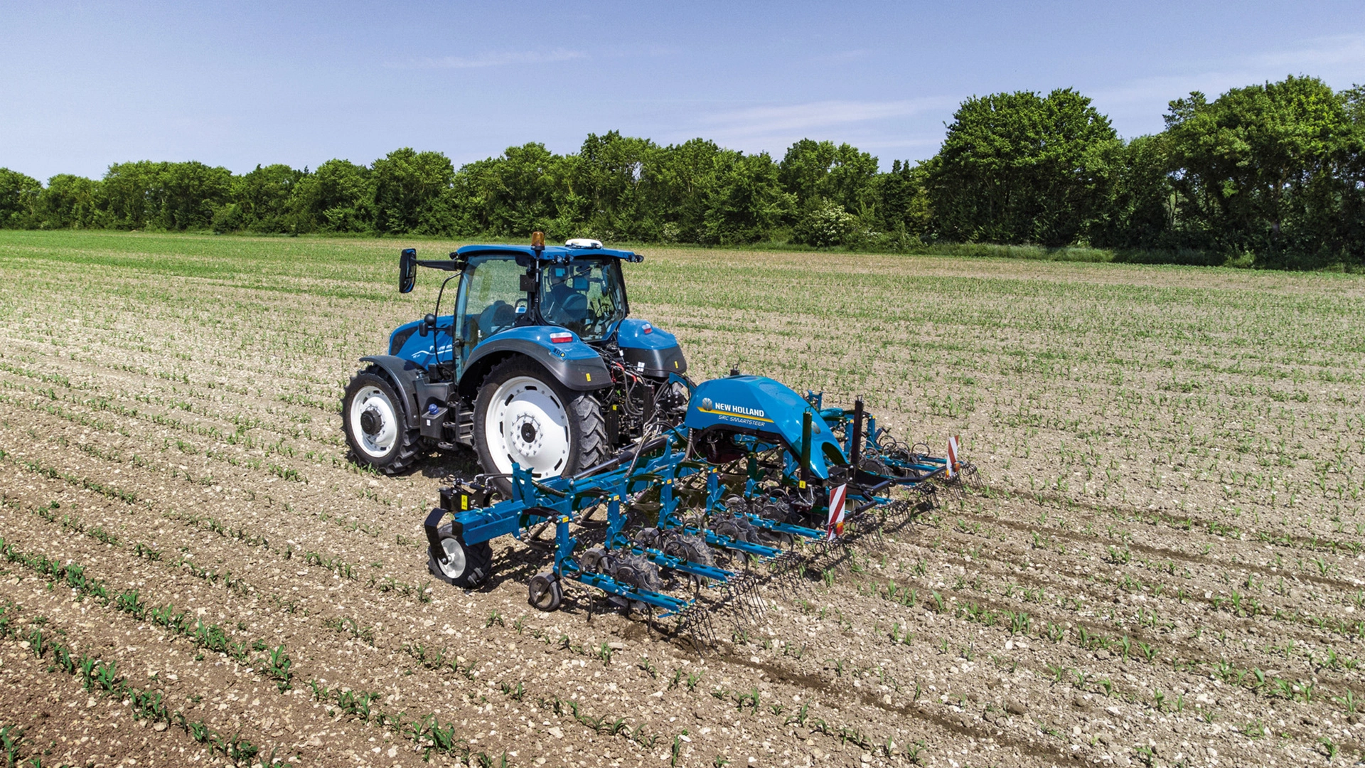 Tractor with SRC & SRC SmartSteer Interrow Cultivators in motion, cultivating the soil between green rows on a farm field