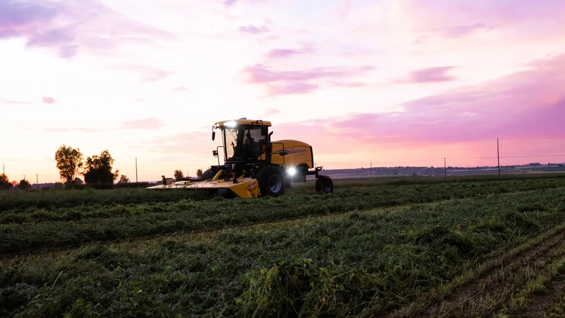 Windrower cutting in a field at sunrise.