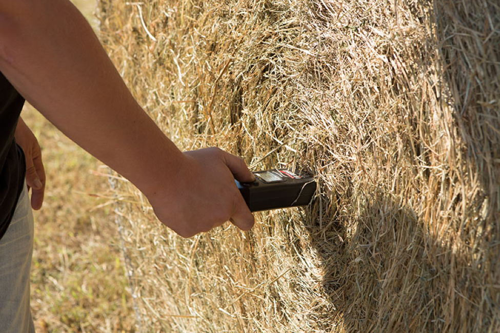 Bale moisture tester testing round bale