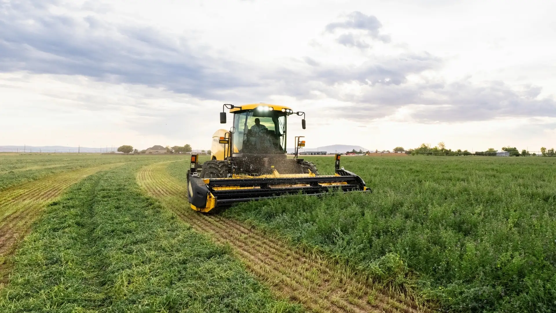 Windrower cutting in a field.