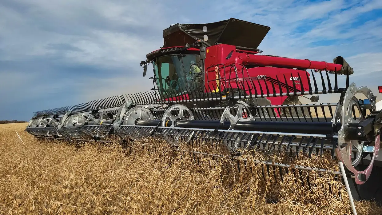AF 11 combine with FD250 draper head facing left