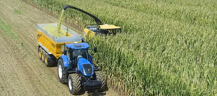PRODUCTIVE MAIZE HARVESTING