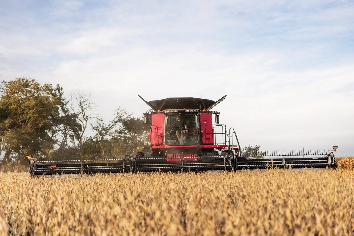 front view of Axial-Flow 8260 in grain field