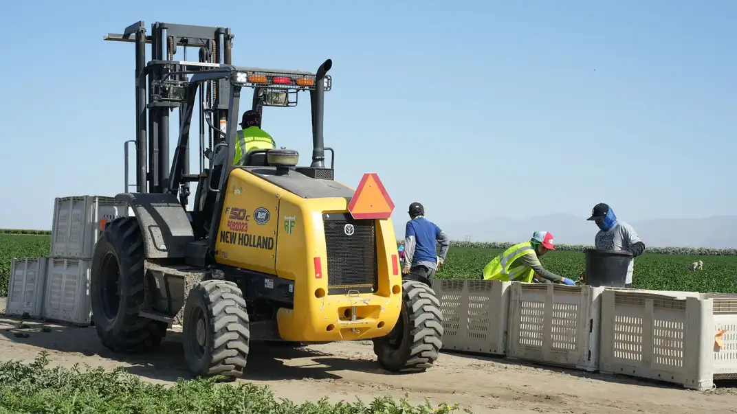 rough-terrain-forklifts-transform-specialty-crop-harvesting-gallery-01.jpg