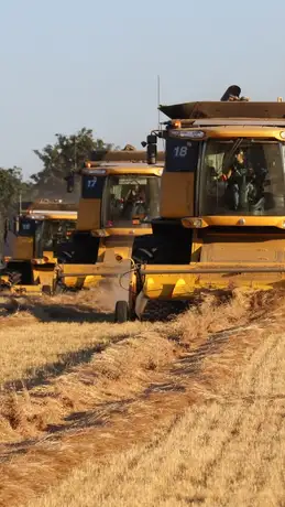 Moving Beyond Tradition - New Holland News