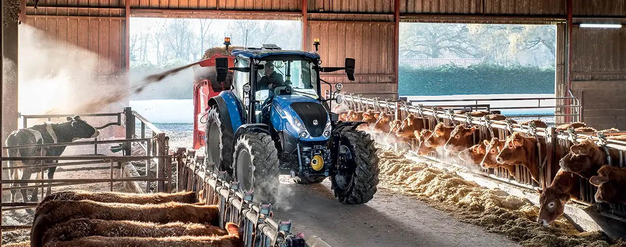 WÄHLEN SIE EIN GETRIEBE, DAS ZU IHNEN PASST