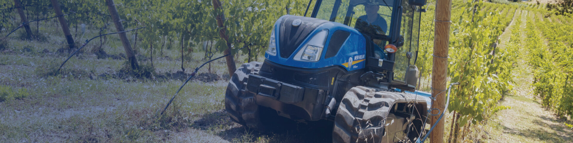 NH_Website_Desktop_Banner_TK4_Crawler.jpg