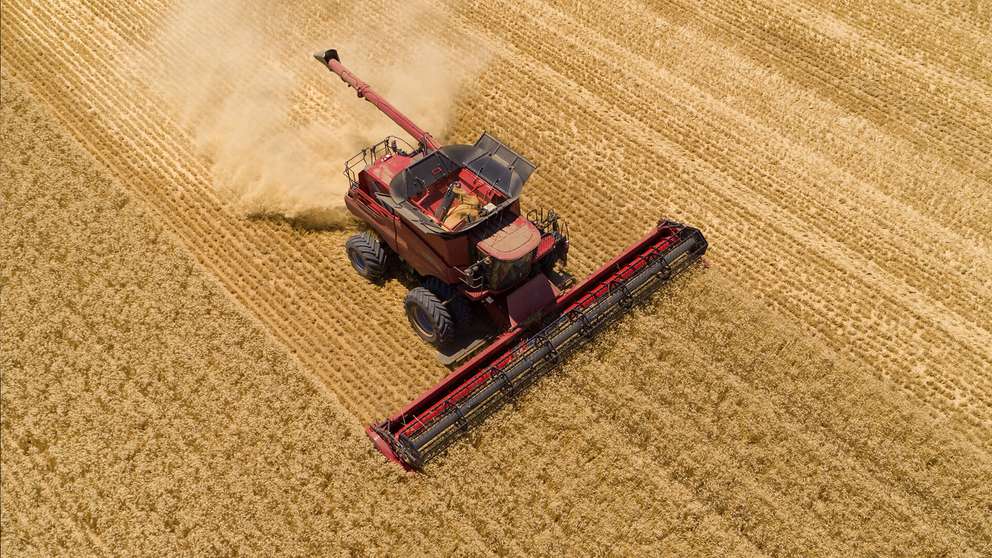 Case IH AF9 combine harvester in field, from drone shot
