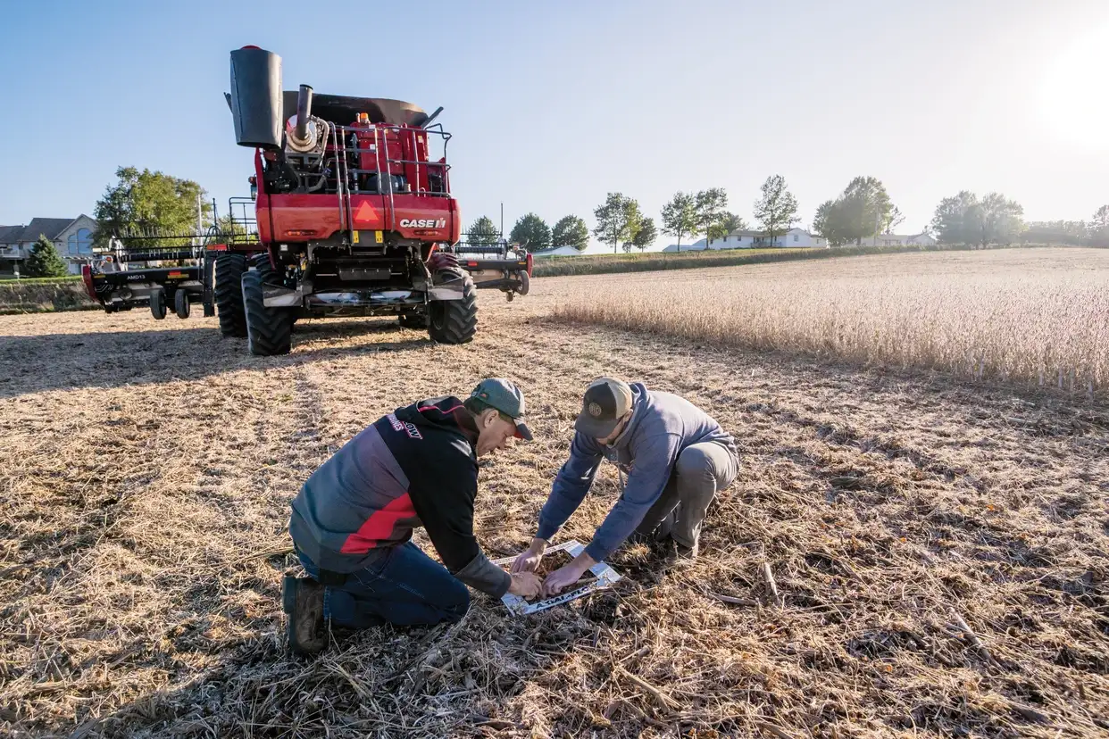 Two farmers kneel in a harvested field, examining soil or crops beside a red Case IH combine harvester in warm sunlight, conveying teamwork.