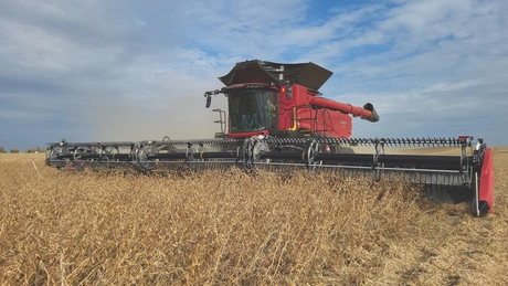 Close up of AF11 combine with FD250 header