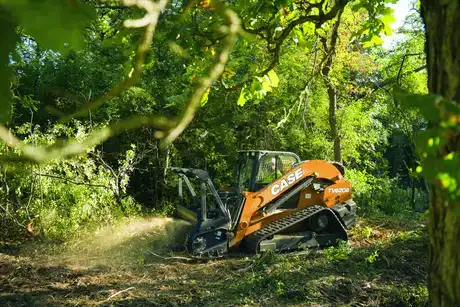 A Case IH B-Series track loader forest clearing machine works amongst dense, green foliage in dappled sunlight, emitting a spray of mulch and creating a dynamic scene.