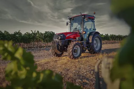 Farmall CL with backdrop of grapevines