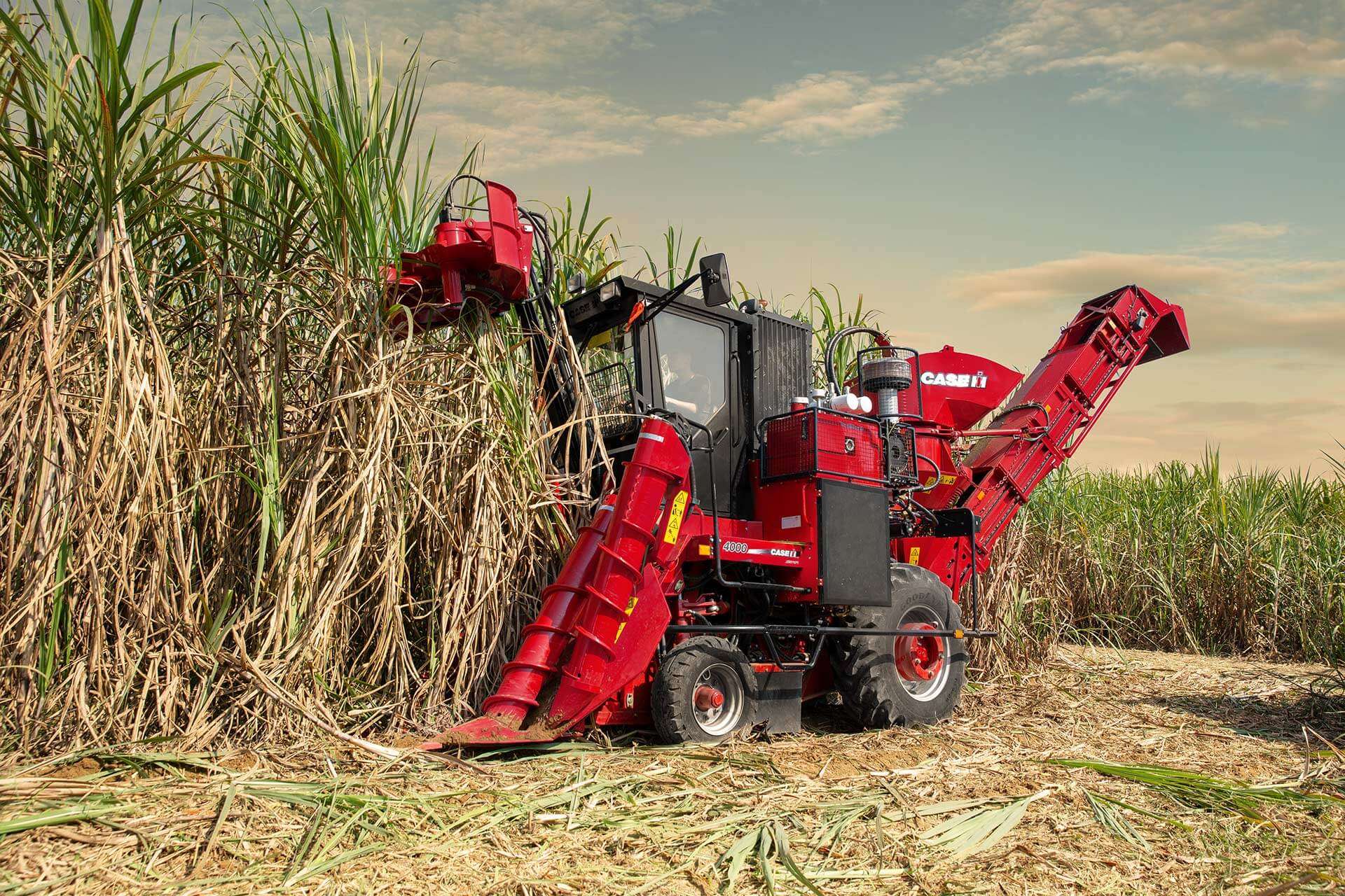 Austoft_4000_sugarcane_harvester