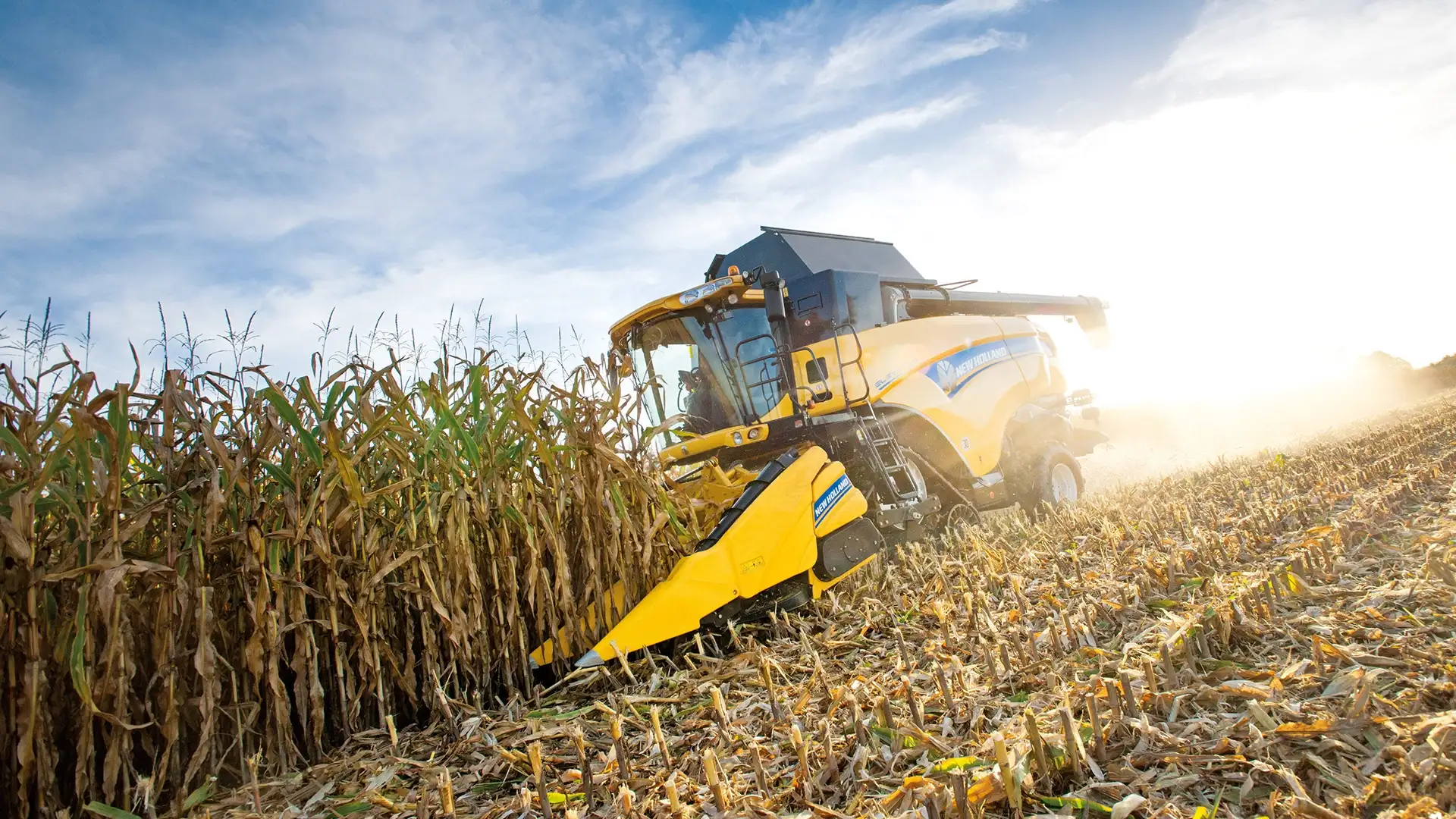 New Holland combine with maize header in action