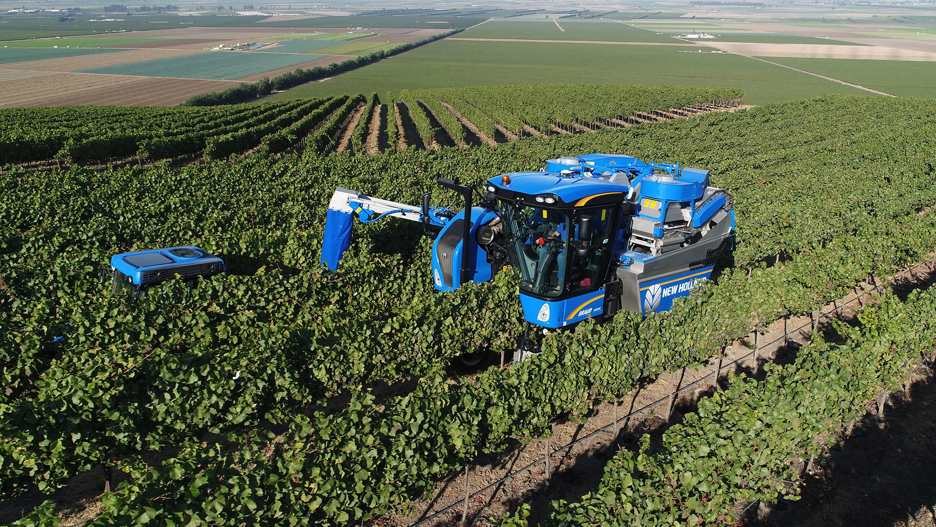Braud 9090x Grape Harvesting machinery on the wineyard