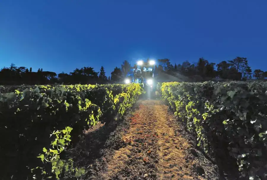 braud-grape-harvesters-gallery-08