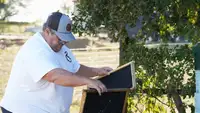 Texas Bees 4